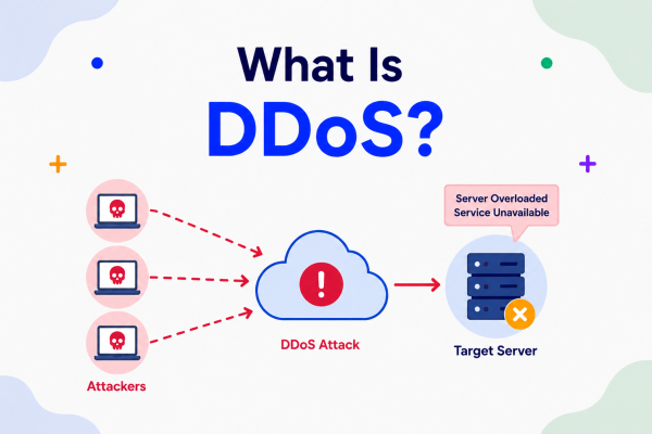 What Is DDoS?