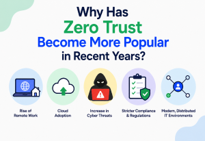 Why Has Zero Trust Become More Popular in Recent Years?