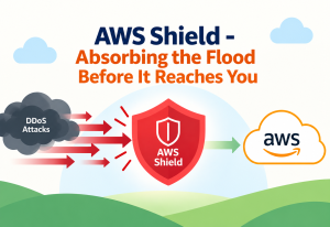 AWS Shield - Absorbing the Flood Before It Reaches You