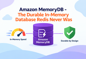 Amazon MemoryDB - The Durable In-Memory Database Redis Never Was